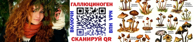 Псилоцибиновые грибы мицелий  Агрыз 